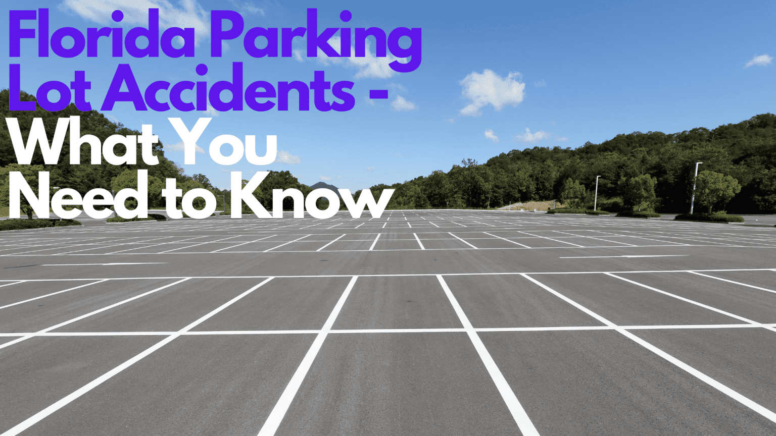 Sun, Sand, and… Parking Headaches?  Florida's Parking Solutions ☀️🌴🚗