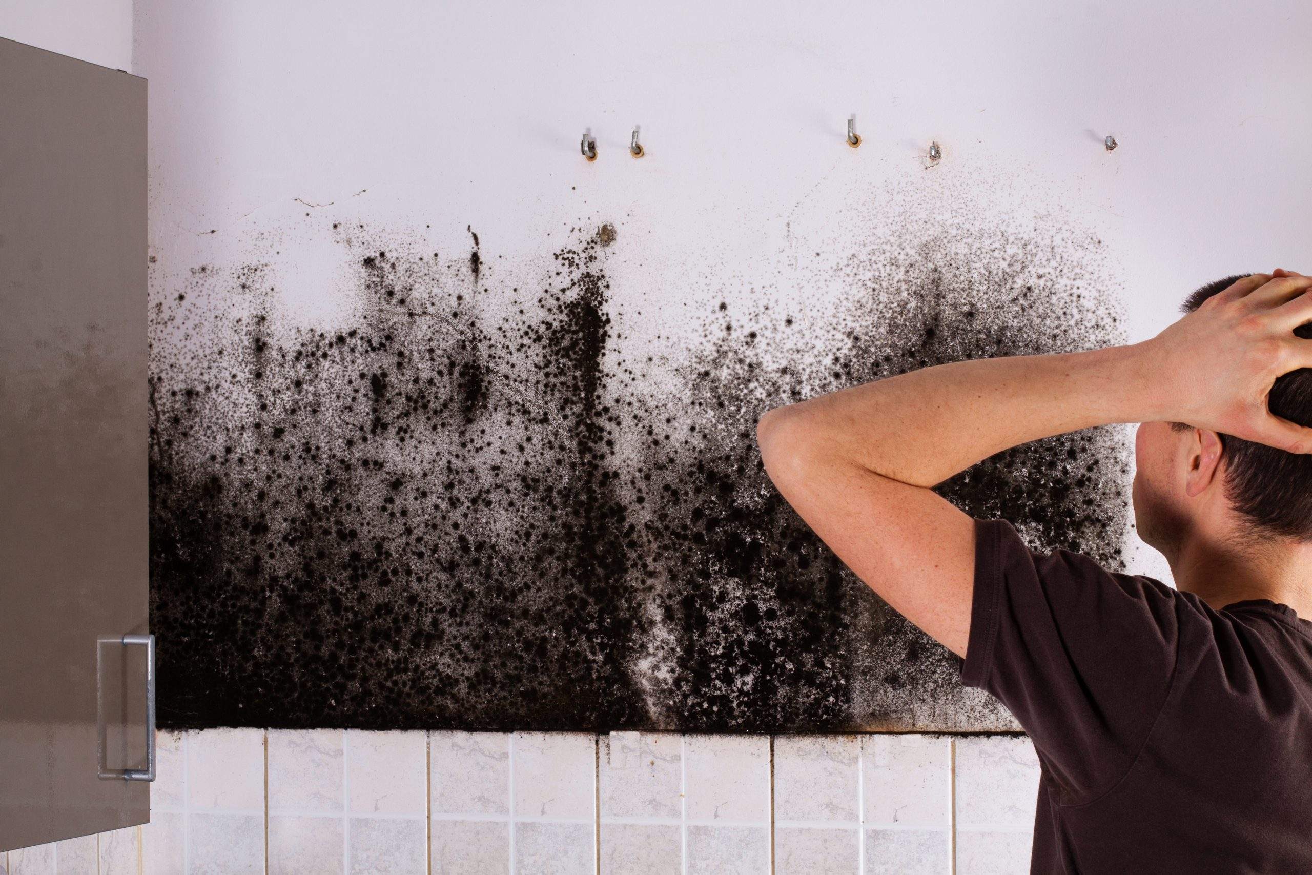 How to Know If You Suffer from a Mold Injury